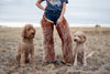 Wild and Woolly Tee