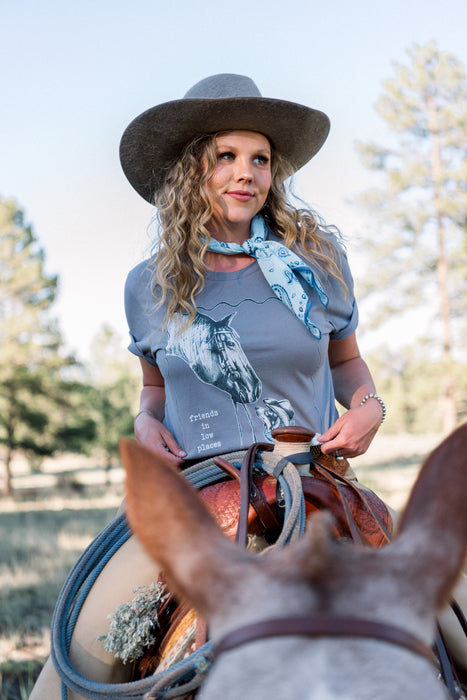 Friends in Low Places Tee