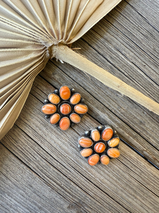 The Clementines: Spiny Oyster Studs