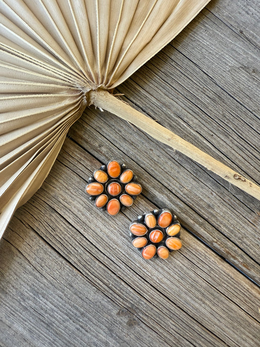 The Clementines: Spiny Oyster Studs