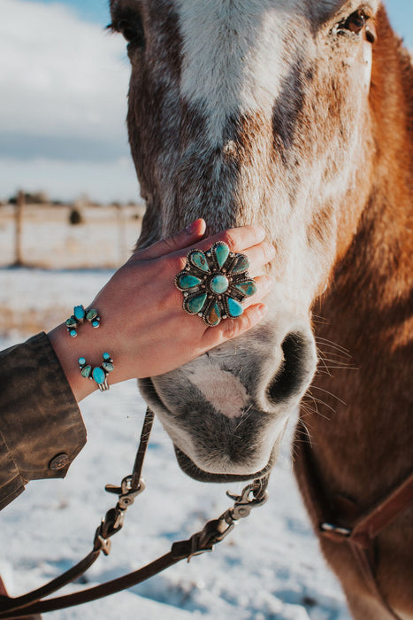 Naja Open Cluster Cuff