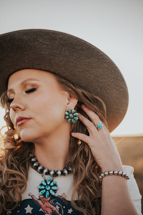 The Taos Sonoran Clusters