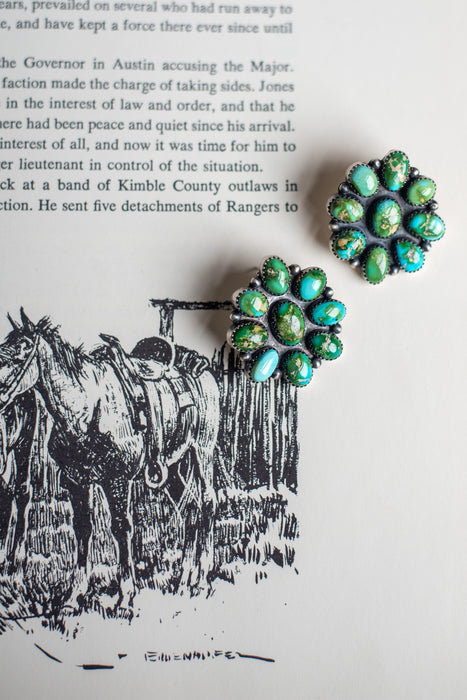 The Taos Sonoran Clusters