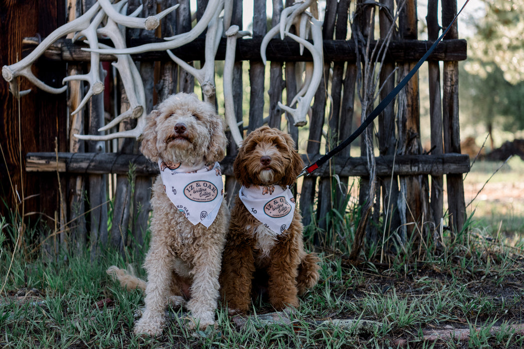 Iz and Oak Branded Bandana