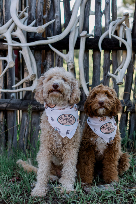 Iz and Oak Branded Bandana